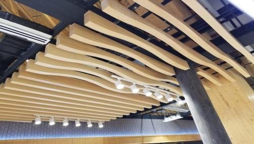 Baffle-Curved-1